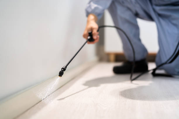 Licensed Mosquito Control service in Racine, WI - Show Me Pest Control