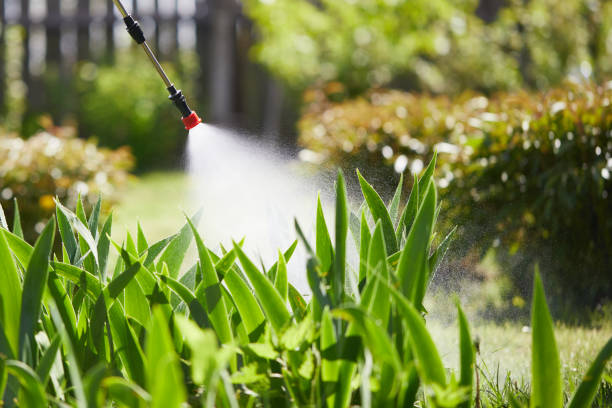 24/7 Emergency Mosquito Control experts in Racine, WI