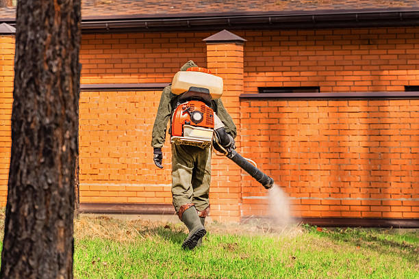 Top rated local Mosquito Control specialists in Racine, WI